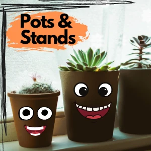 Pots & Stands
