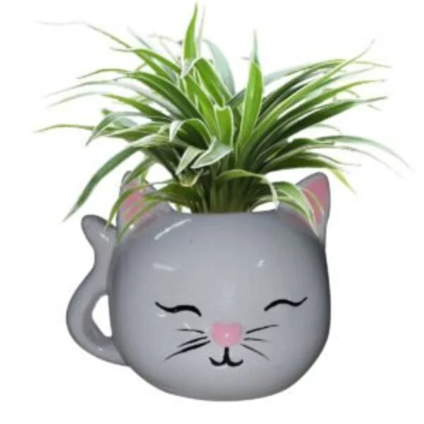 Cat Face Succulent Pot