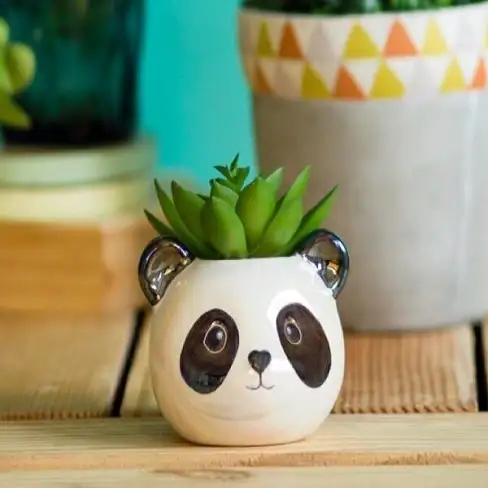 Cute Panda Pot