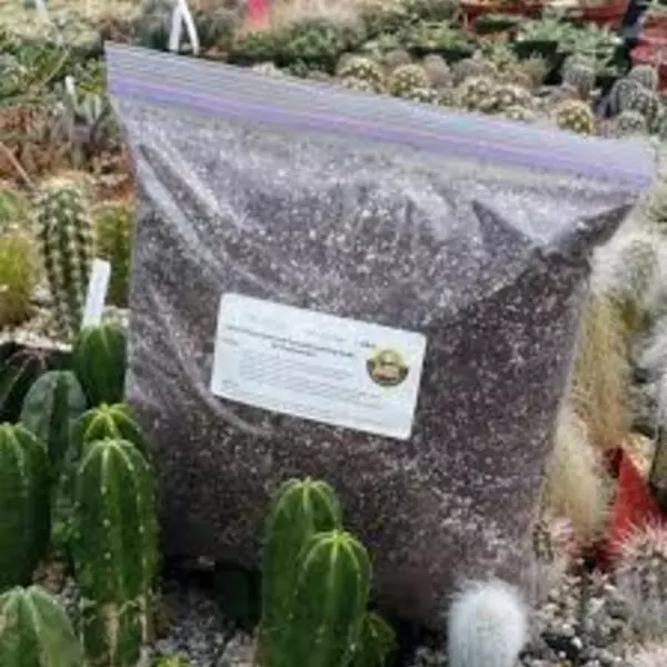 Potting Soil For Cactus And Succulents 5kg